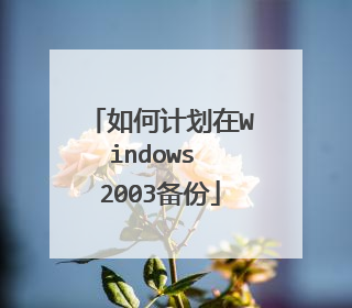 如何计划在Windows 2003备份
