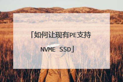 如何让现有PE支持NVME SSD