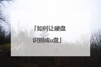 如何让硬盘识别成u盘