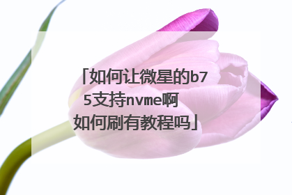 如何让微星的b75支持nvme啊 如何刷有教程吗