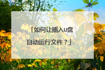 如何让插入U盘自动运行文件？
