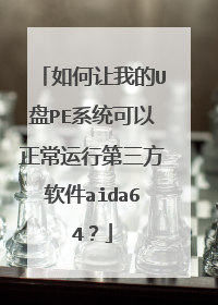 如何让我的U盘PE系统可以正常运行第三方软件aida64？