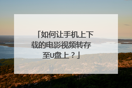 如何让手机上下载的电影视频转存至U盘上？