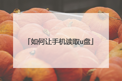 如何让手机读取u盘