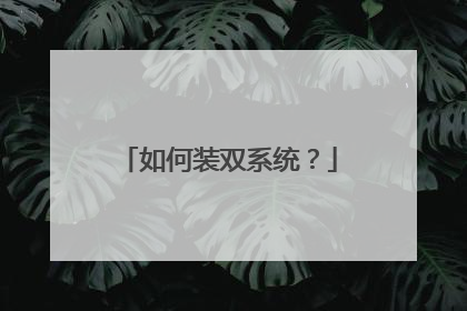 如何装双系统?