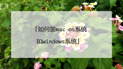 如何装mac os系统和windows系统