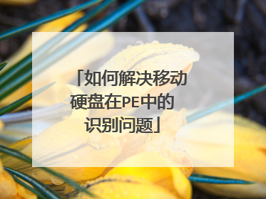 如何解决移动硬盘在PE中的识别问题