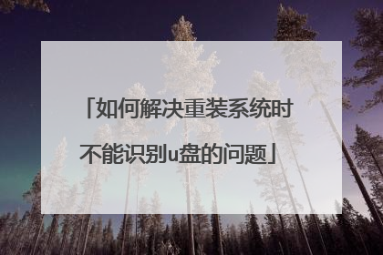 如何解决重装系统时不能识别u盘的问题