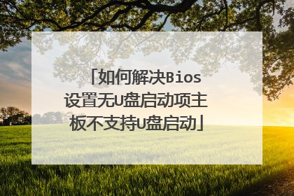 如何解决Bios设置无U盘启动项主板不支持U盘启动