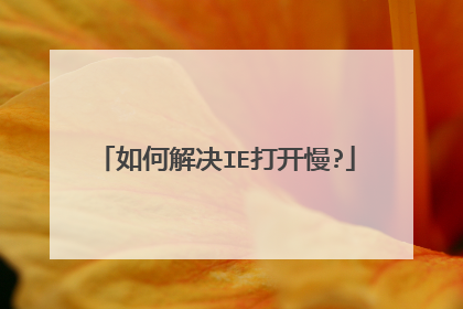 如何解决IE打开慢?