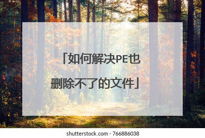 如何解决PE也删除不了的文件