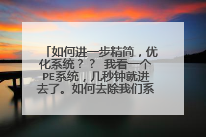 如何进一步精简，优化系统？？ 我看一个PE系统，几秒钟就进去了。如何去除我们系统中不常用的东西