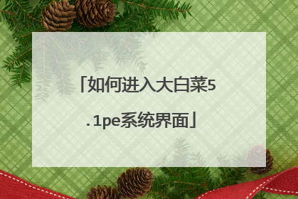 如何进入大白菜5.1pe系统界面