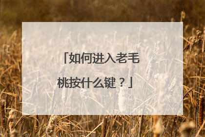 如何进入老毛桃按什么键？