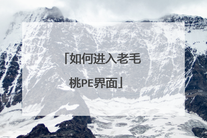 如何进入老毛桃PE界面