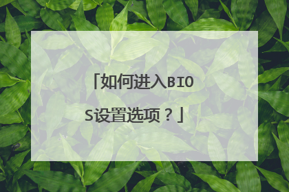 如何进入BIOS设置选项?