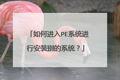 如何进入PE系统进行安装别的系统？