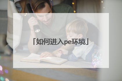 如何进入pe环境
