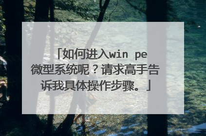 如何进入win pe微型系统呢？请求高手告诉我具体操作步骤。