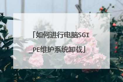 如何进行电脑SGI_PE维护系统卸载