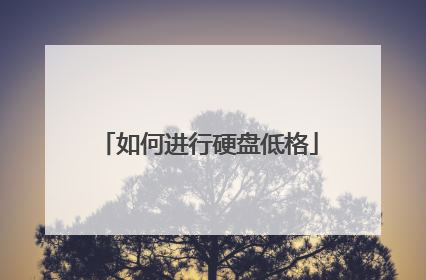 如何进行硬盘低格