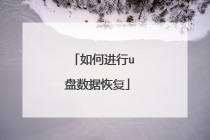 如何进行u盘数据恢复
