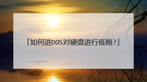 如何进DOS对硬盘进行低格?