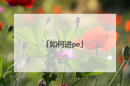 如何进pe