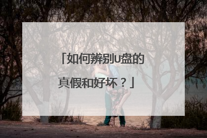 如何辨别U盘的真假和好坏?