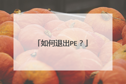 如何退出PE?