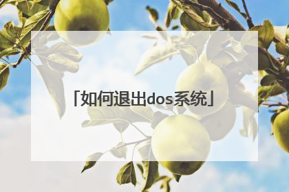 如何退出dos系统