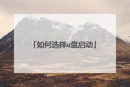 如何选择u盘启动