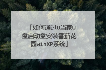 如何通过U当家U盘启动盘安装番茄花园winXP系统