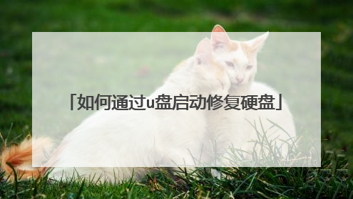 如何通过u盘启动修复硬盘