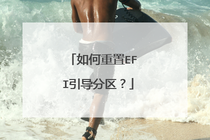 如何重置EFI引导分区?