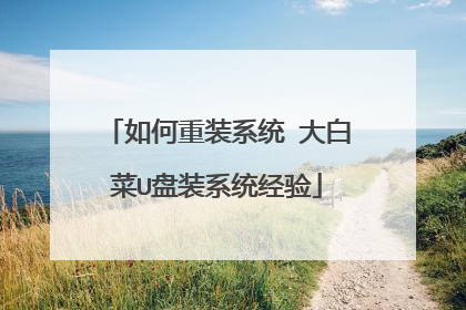 如何重装系统 大白菜U盘装系统经验
