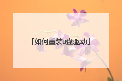 如何重装U盘驱动