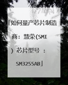 如何量产芯片制造商: 慧荣(SMI) 芯片型号 : SM3255AB