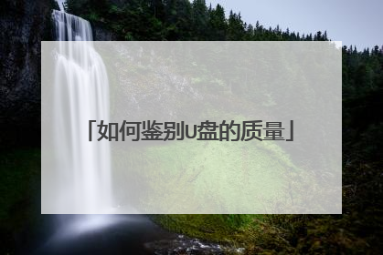 如何鉴别U盘的质量