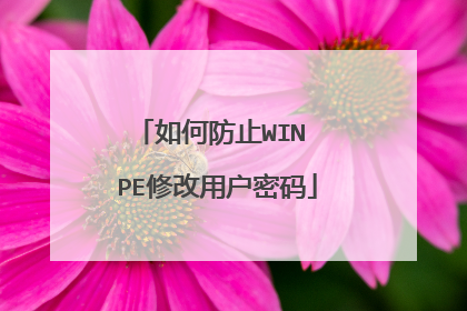 如何防止WIN PE修改用户密码