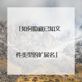 如何隐藏已知文件类型的扩展名