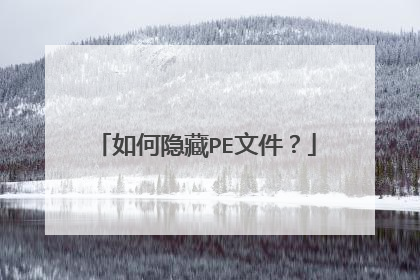 如何隐藏PE文件?