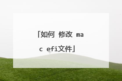 如何 修改 mac efi文件
