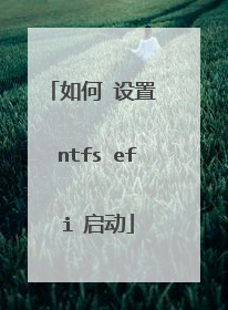 如何 设置 ntfs efi 启动