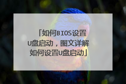 如何BIOS设置U盘启动,图文详解如何设置U盘启动
