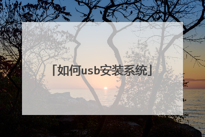 如何usb安装系统