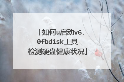 如何u启动v6.0fbdisk工具检测硬盘健康状况