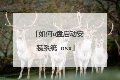 如何u盘启动安装系统 osx