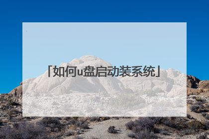 如何u盘启动装系统