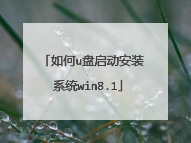 如何u盘启动安装系统win8.1